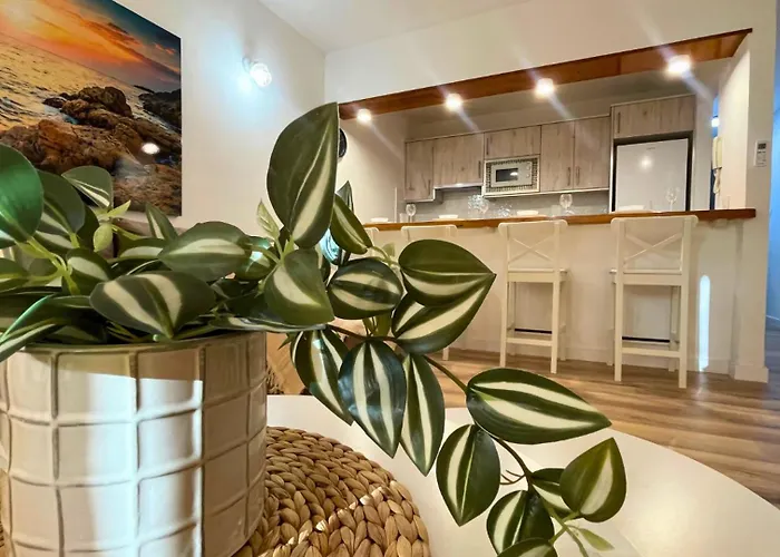 Lejlighed Markethome Neptuno Front 1bdr *