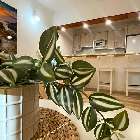 Apartamento Markethome Neptuno Front 1bdr *